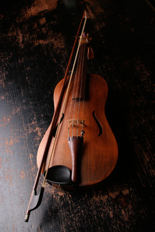"TRAME D'INCANTO" - Serata musicale ed ateliers sensoriali sul violino