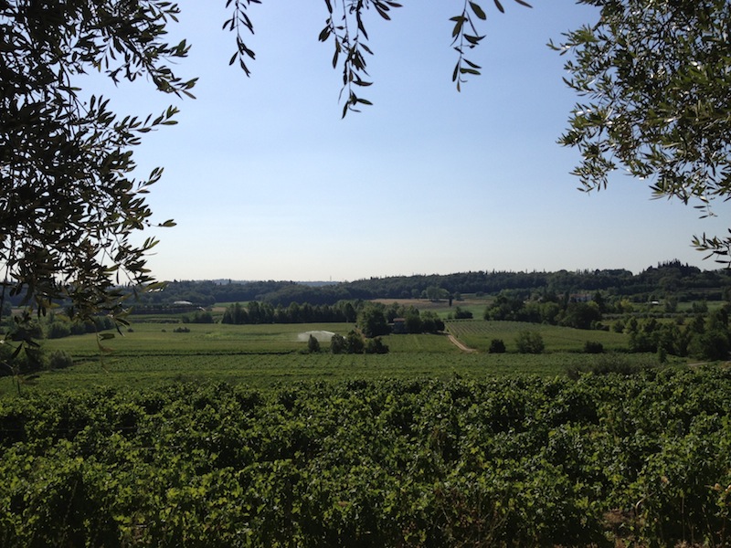 Guardie Ecologiche